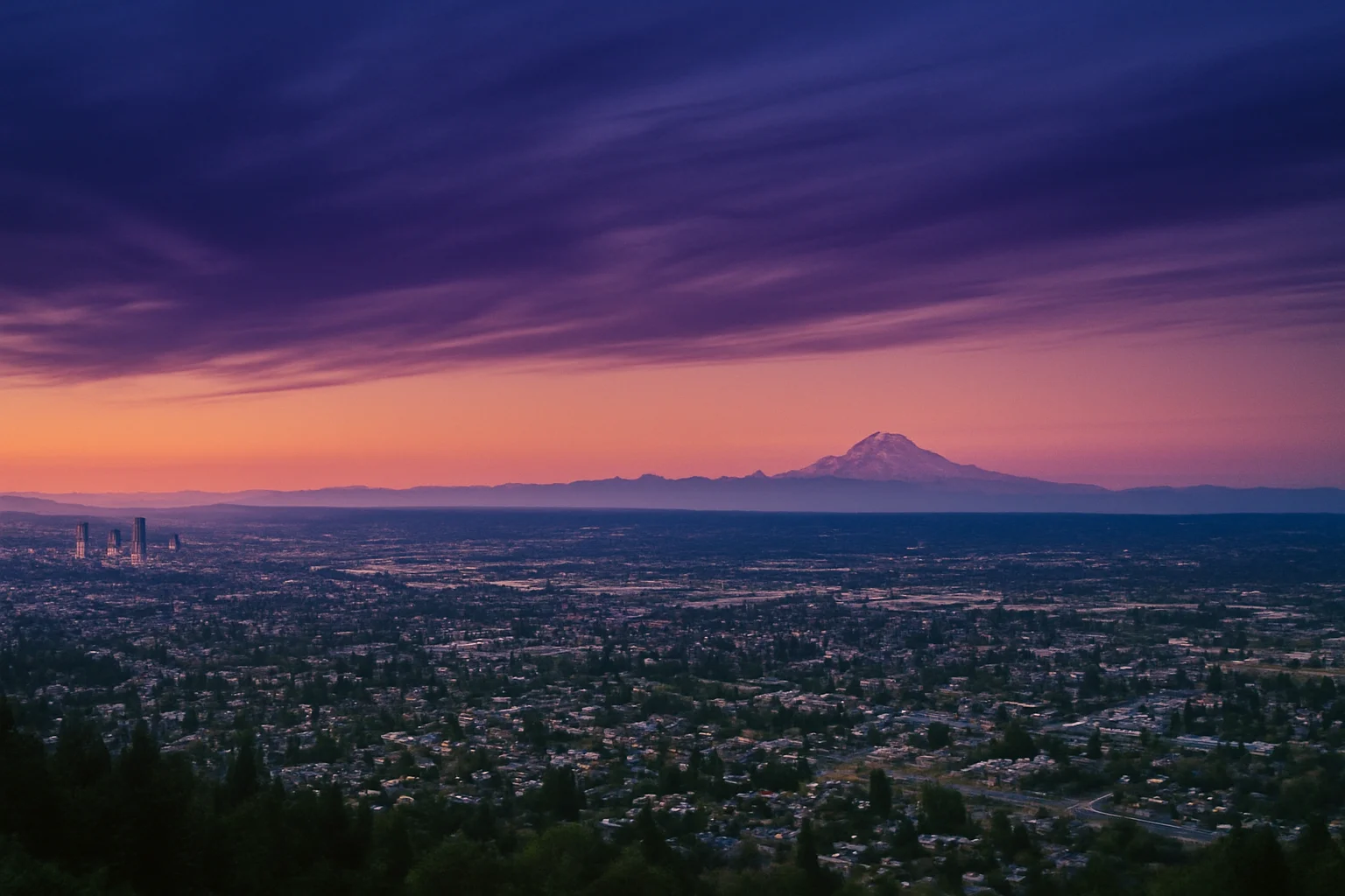 Mount Vernon, WA skyline