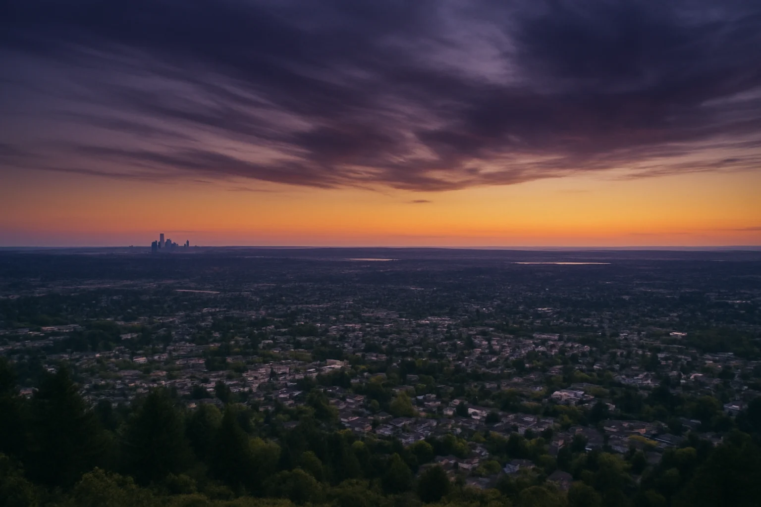 Shoreline, WA skyline